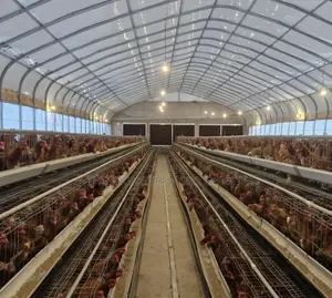 Poultry Coop With Battery Cages