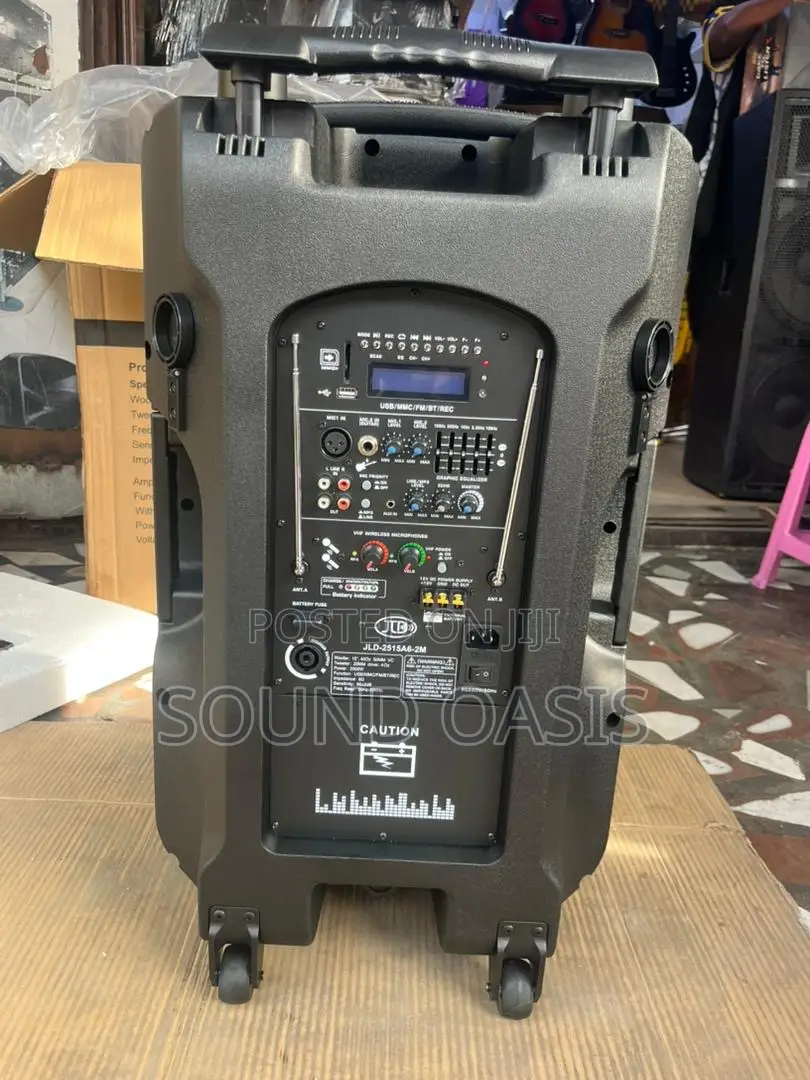 JLD Rechargeable Bluetooth Speaker With Two Wireless Microphones