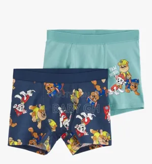 Paw Patrol Boxers for Kids