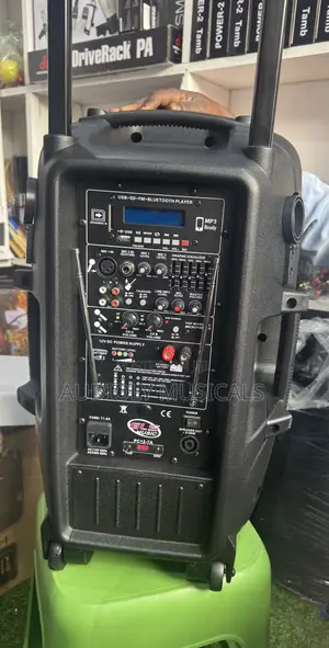 GLS Rechargeable Speaker With Two Microphones