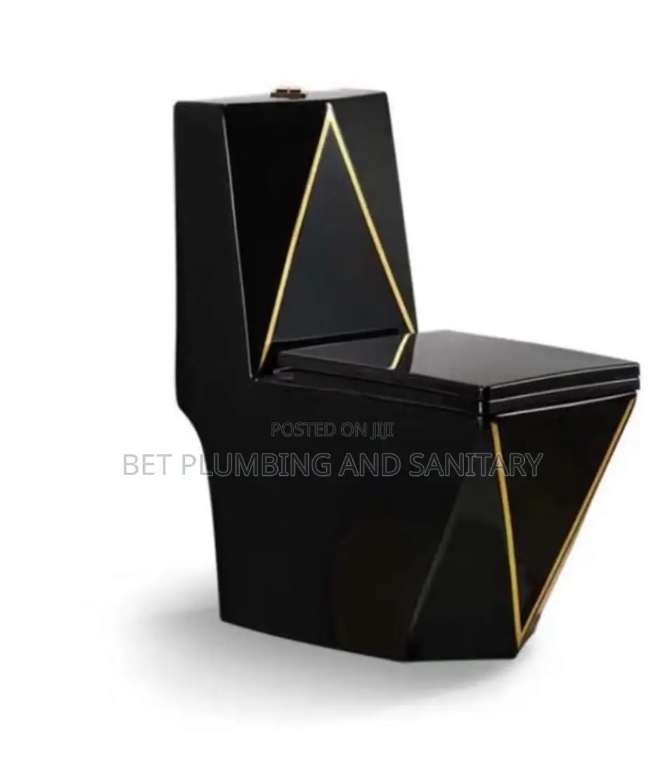 Black and Gold Combine Water Closet_wc_combine Wc