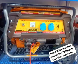 Emergency Power Ingco 7.5kva 7000watt Petrol Generator Ingco