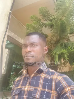 Curriculum Vitae for Osei Vasco Kofi