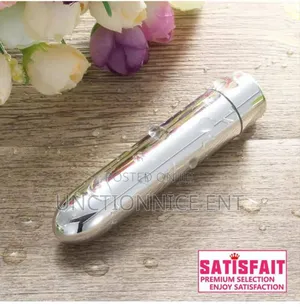 Satisfait: Mini Dolphin Bullet Vibrator