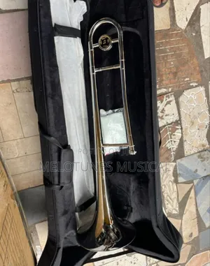 Trombone Gold Colour