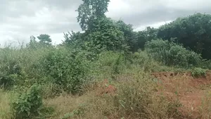 Plot of Land