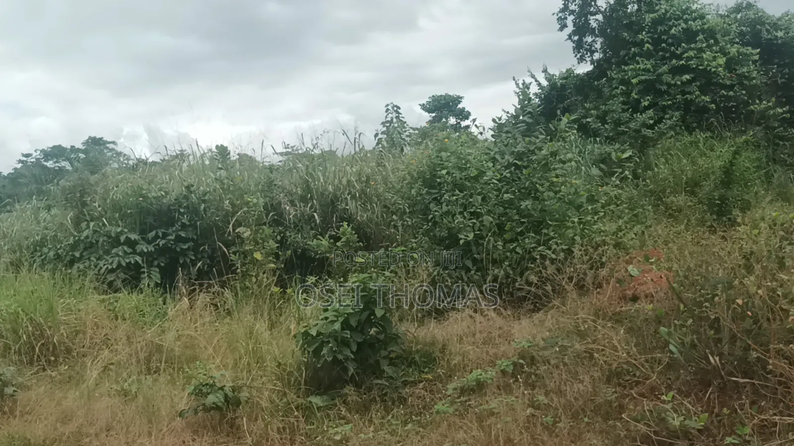 Plot of Land