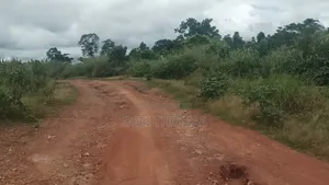 Plot of Land