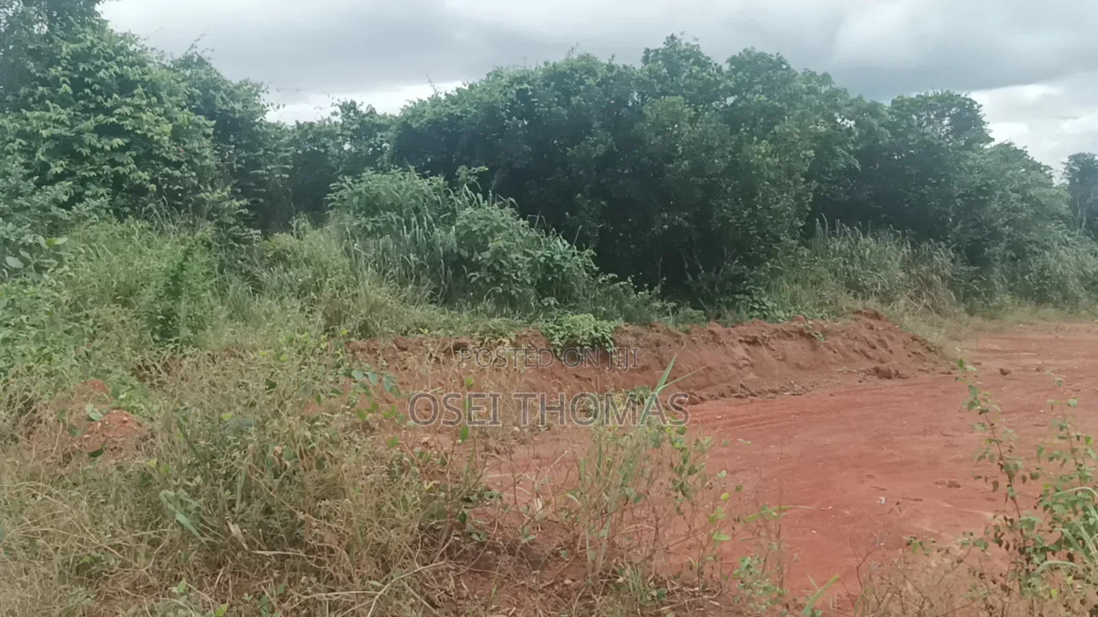 Plot of Land