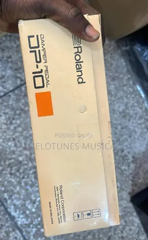 Roland Dp-10 Damper Pedal.