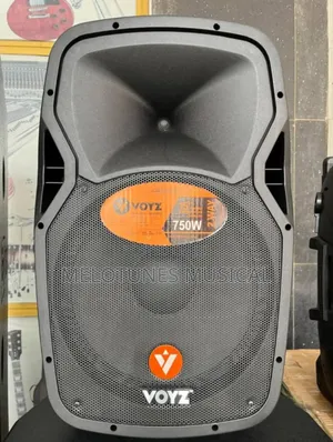 Voyz 15inches Bluetooth Speaker With Two Microphone