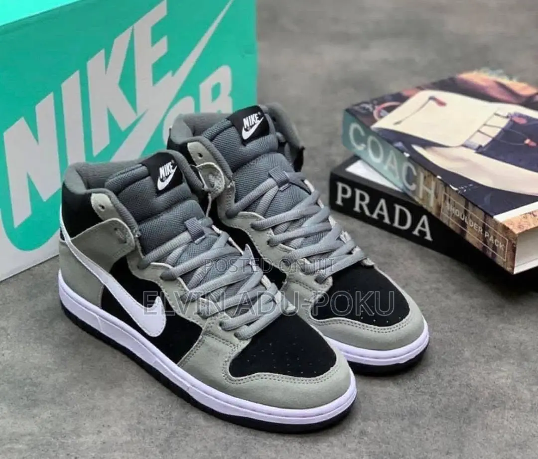 Nike Sb Dunk High Top Pro Sneaker