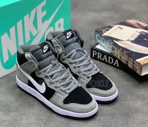 Nike Sb Dunk High Top Pro Sneaker