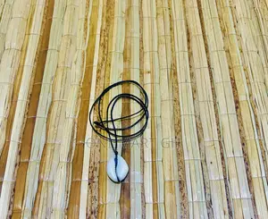 Fortified/ Consecrated Cowrie Shells