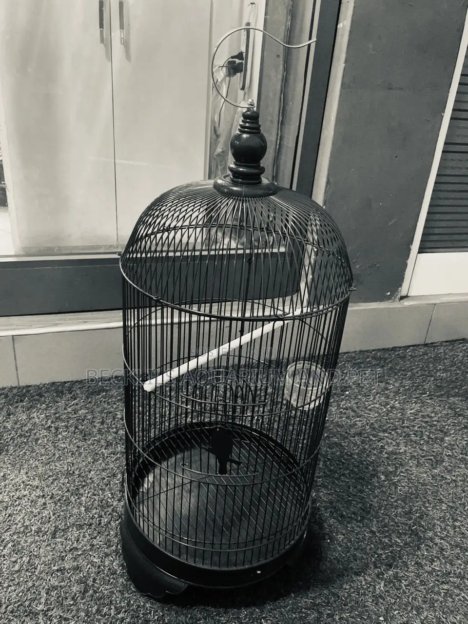 Noel’S Long Birdcage
