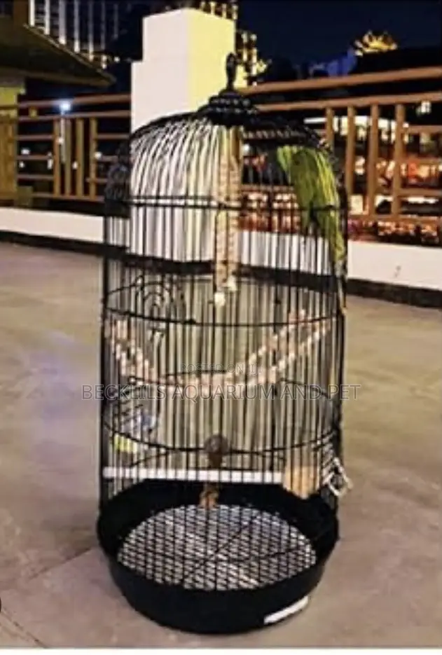 Noel’S Long Birdcage