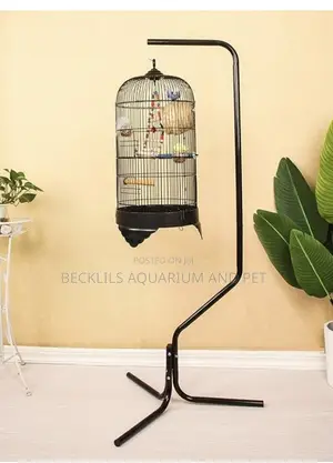 Noel’S Long Birdcage