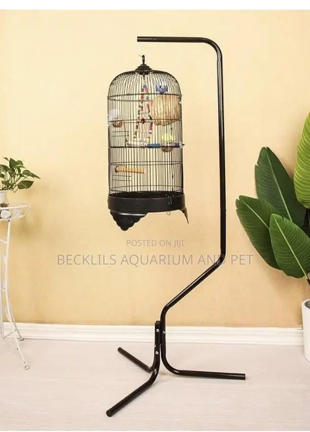 Noel’S Long Birdcage