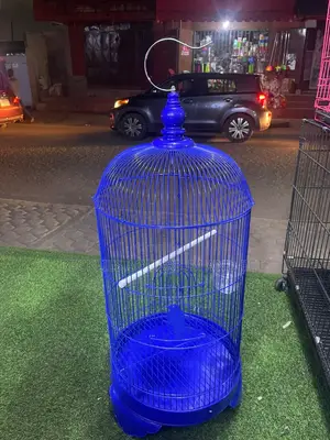 Metal Handle Long Birdcage