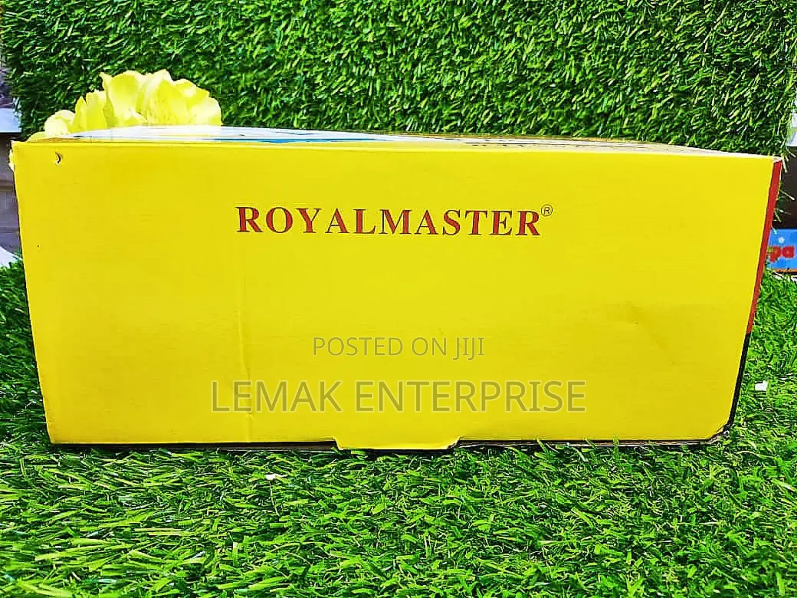 Royal Master Steam Iron