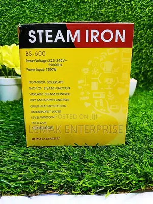 Royal Master Steam Iron