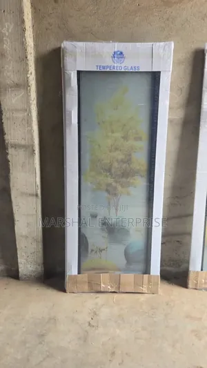 Toilet/Bathroom Glass Door