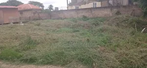 1 Plot of Land for Sale at Tema Comm 11