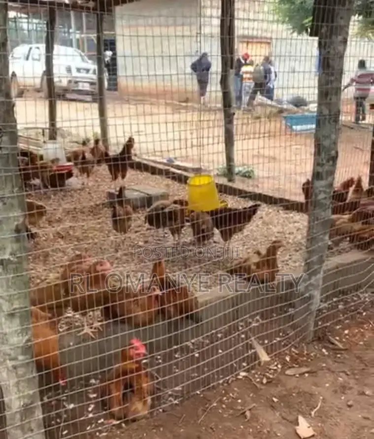 Romanlevi Farms