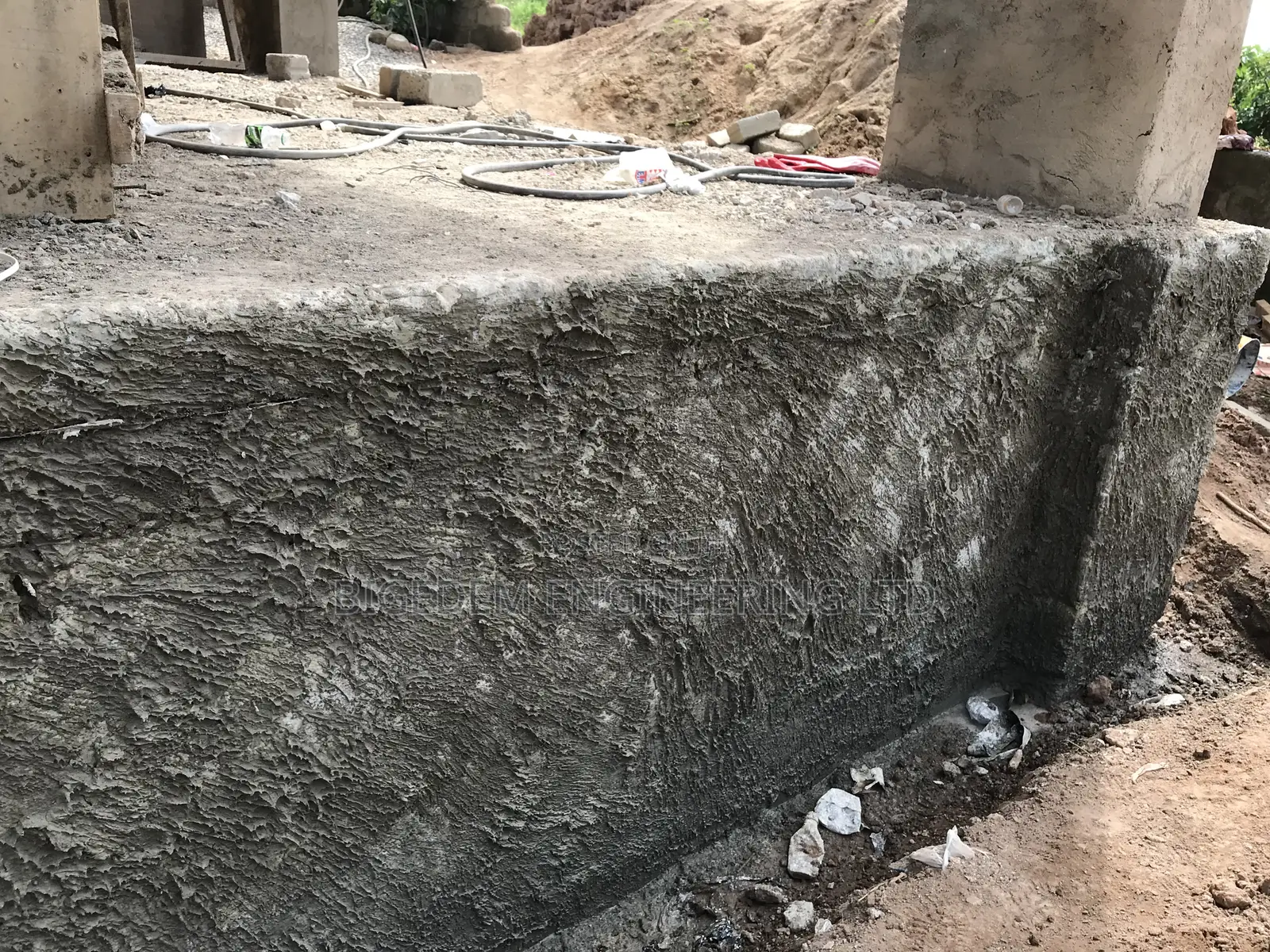 Dampness ( Mold Mildew) Treatment Expert