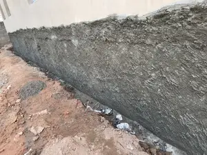 Dampness ( Mold Mildew) Treatment Expert