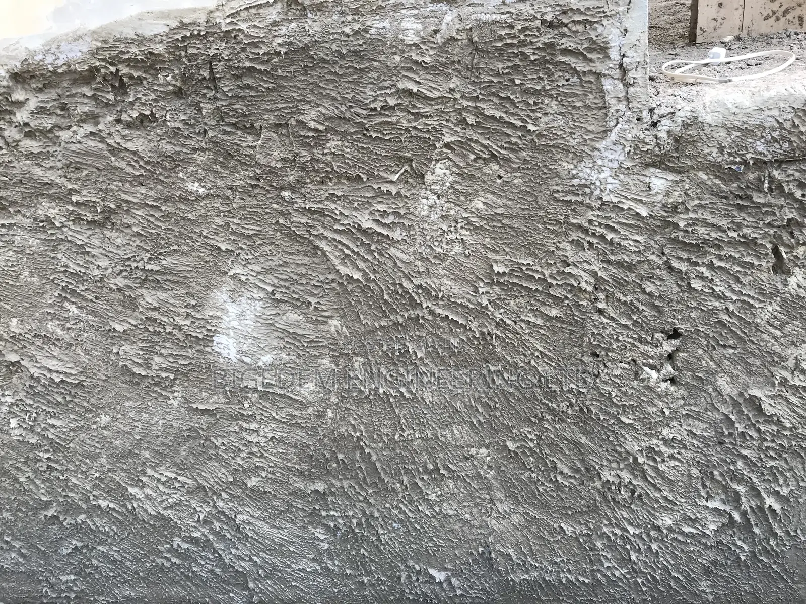 Dampness ( Mold Mildew) Treatment Expert