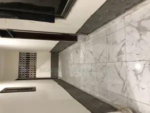 Damped Walls Treatment Expert