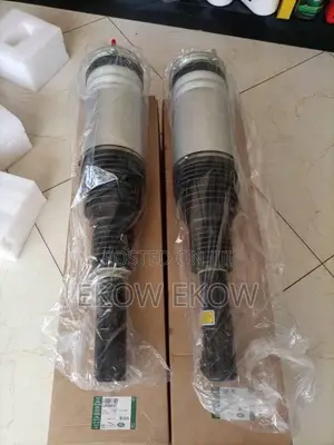 Range Rover Sport Air Left Absorbers