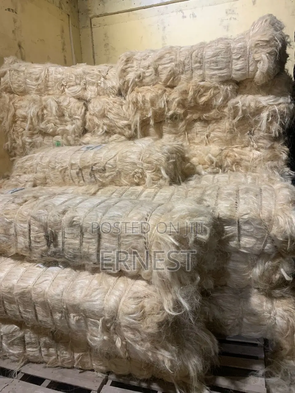 P.O.P Fiber