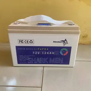 Solar Battery Deep Cycle BMS 12.8v 120ah Lithium Ion Lifepo4