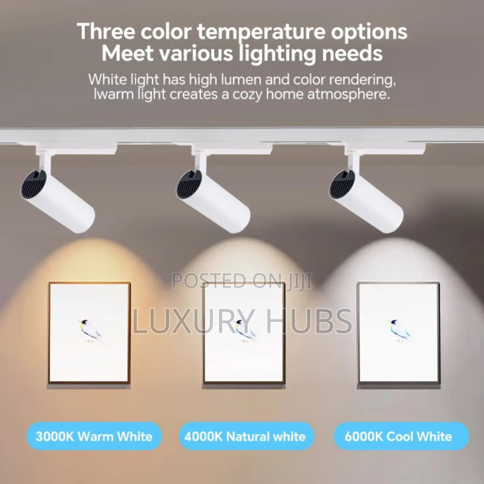 30w Led Track Light (Office and Room Decorations)