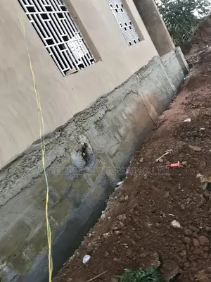 Dampness ( Mold Mildew) Treatment Expert