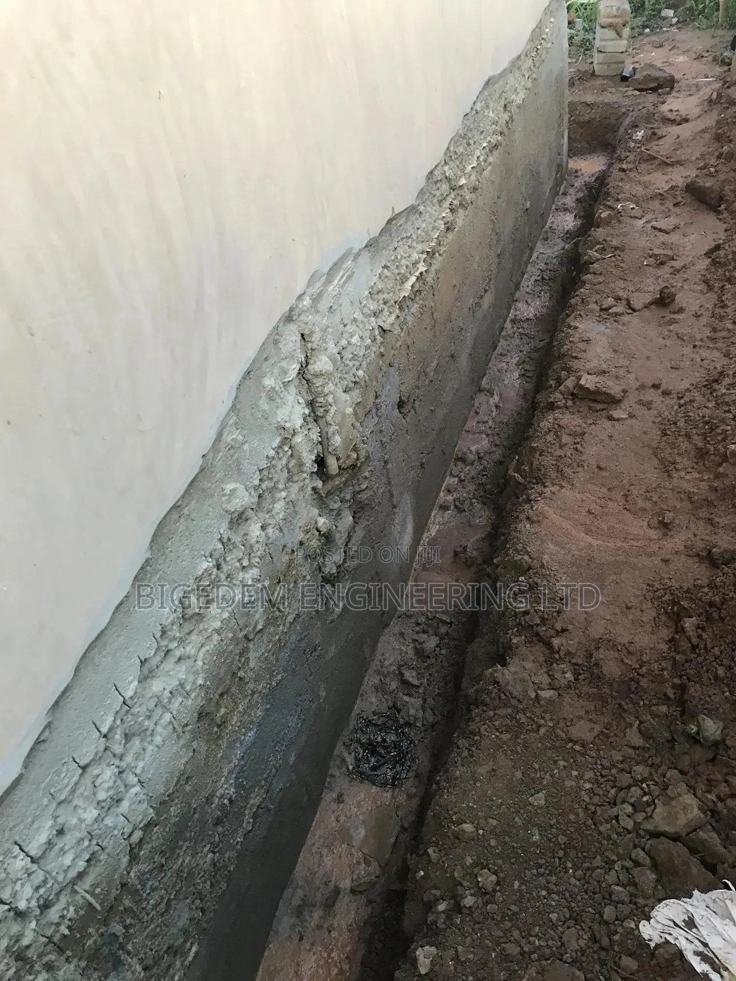 Dampness ( Mold Mildew) Treatment Expert