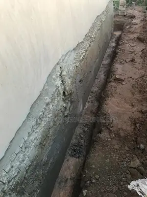Dampness ( Mold Mildew) Treatment Expert