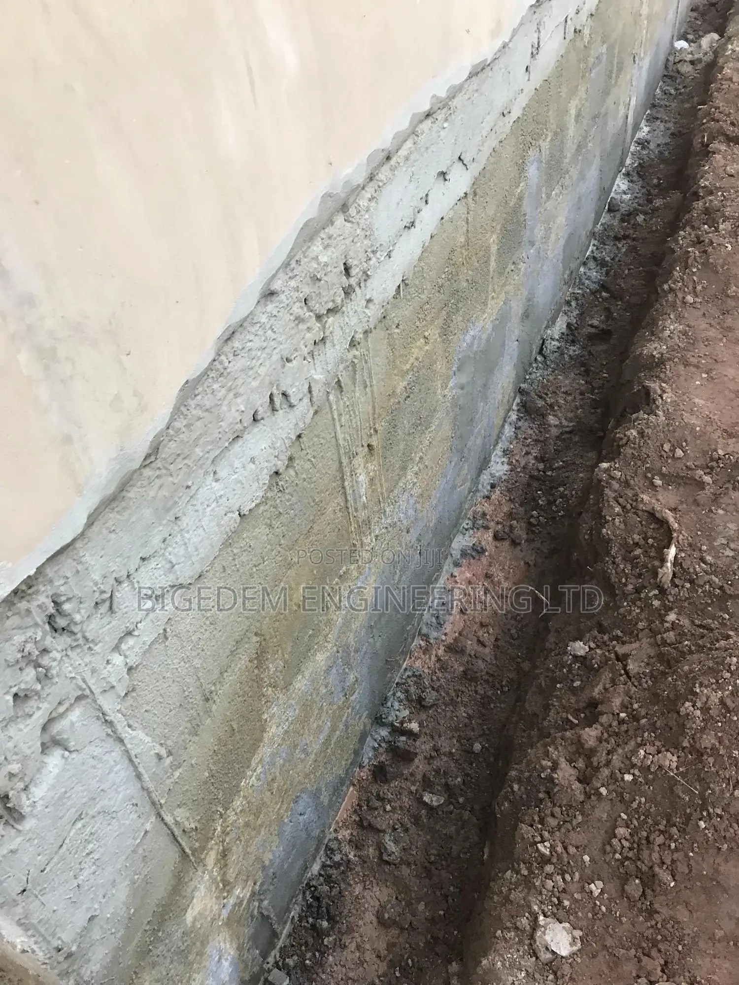 Dampness ( Mold Mildew) Treatment Expert
