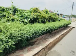 5bdrm House in Cantonments for rent
