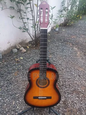 Eko Est. 1959 Cs 10 Sunburst Classical Guitar