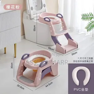 Foldable Toilet Ladder