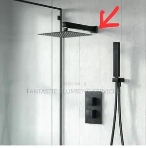 Professional Plumbers, Proven Solutions"