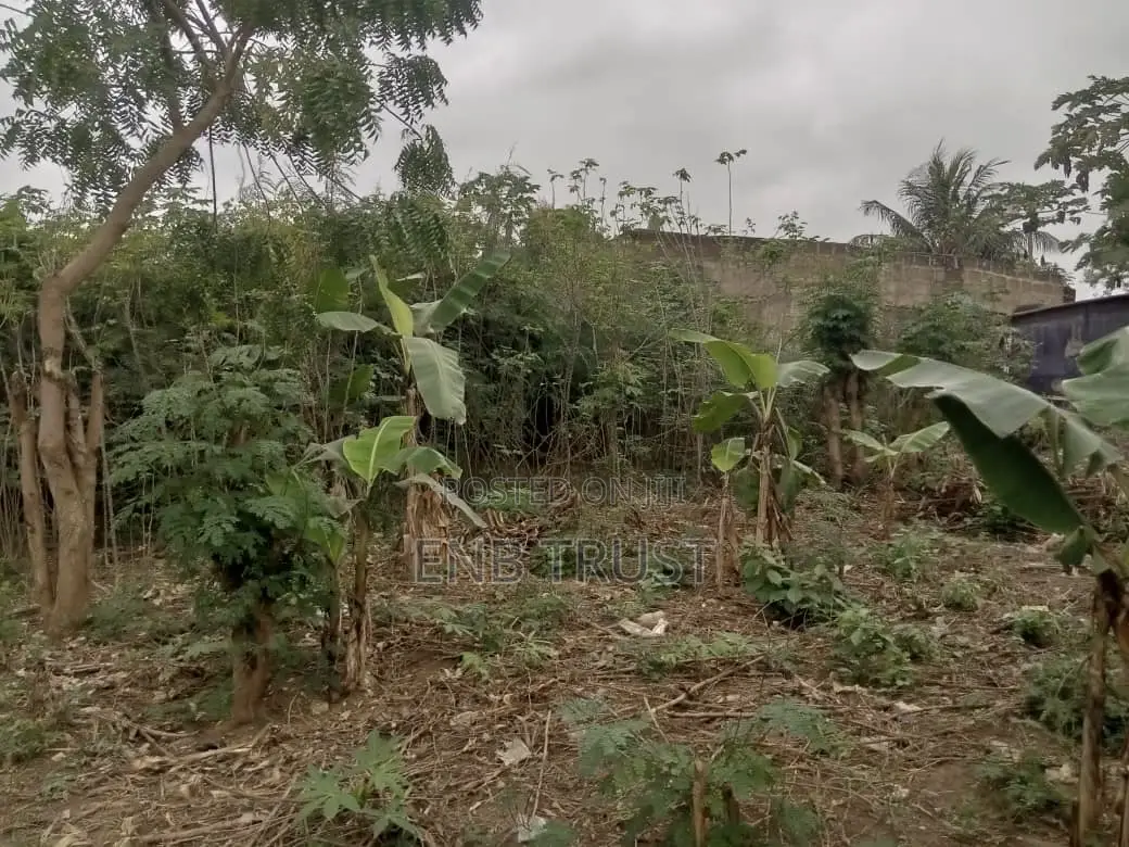2 Plot of Land for Sale at Amasaman Obeyeyie