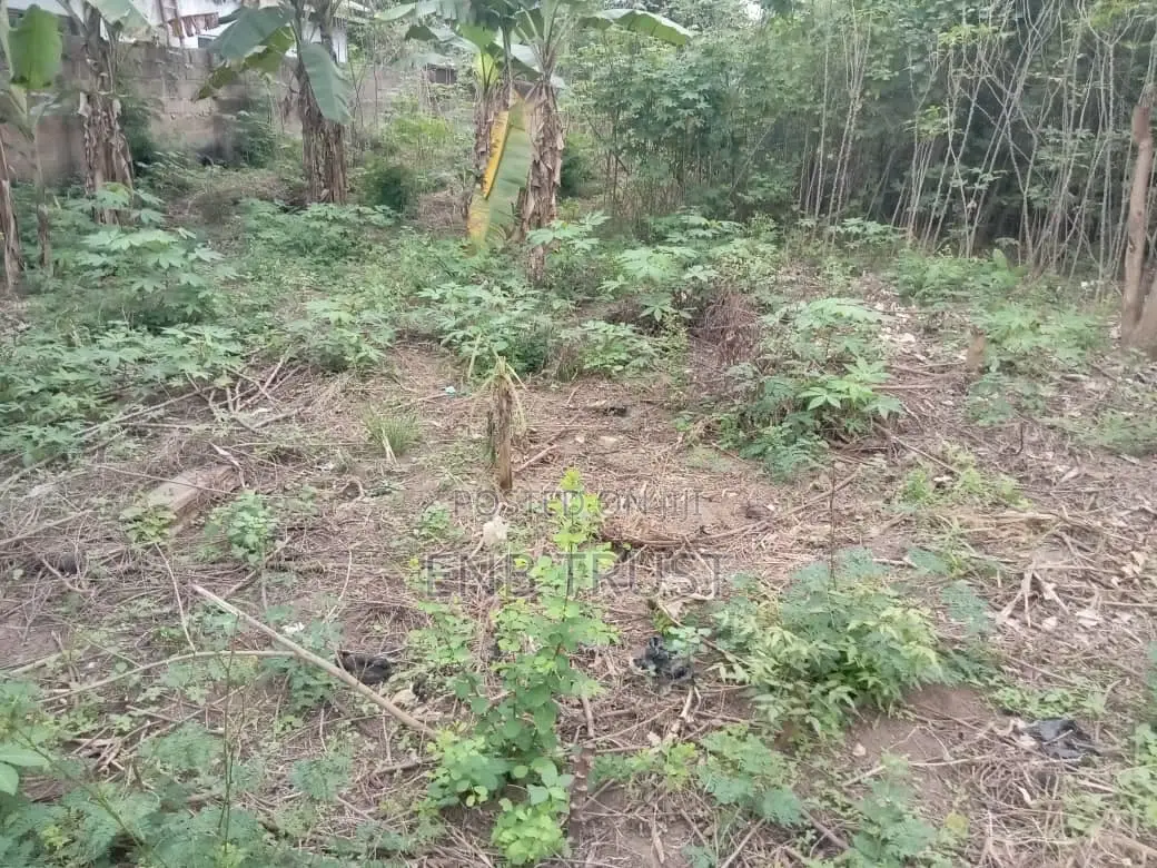 2 Plot of Land for Sale at Amasaman Obeyeyie