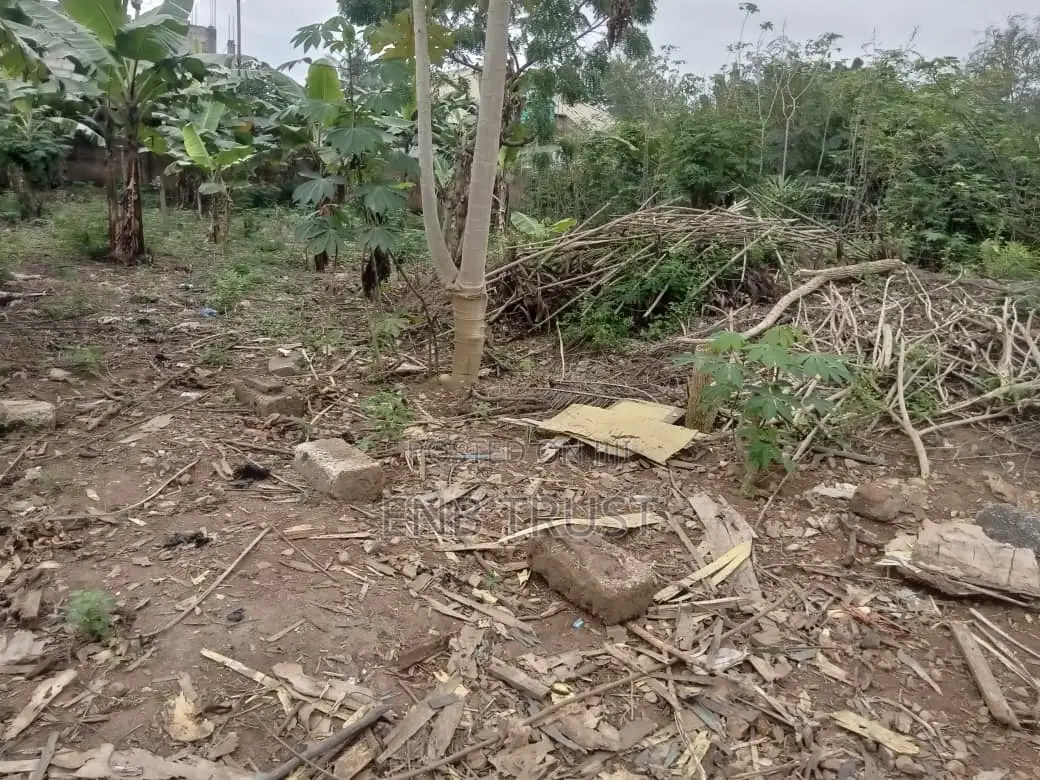 2 Plot of Land for Sale at Amasaman Obeyeyie
