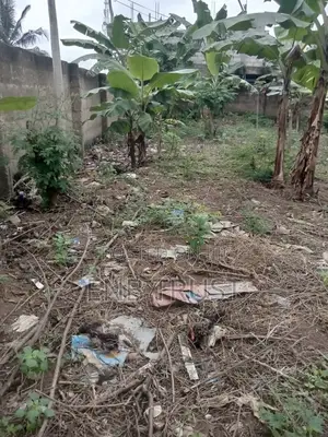 2 Plot of Land for Sale at Amasaman Obeyeyie