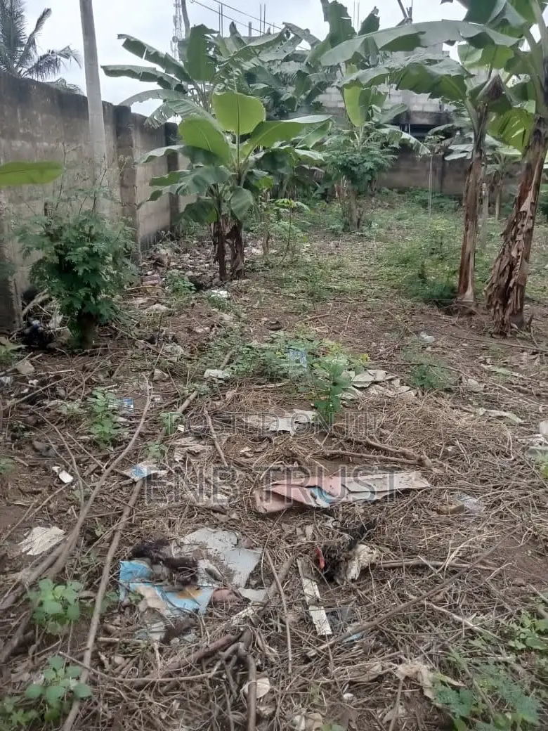2 Plot of Land for Sale at Amasaman Obeyeyie