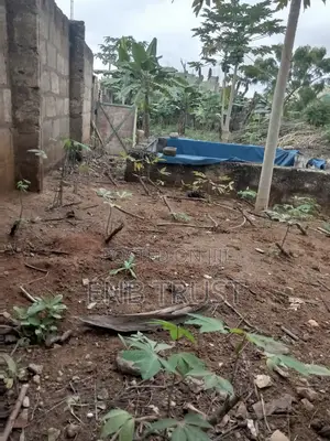 2 Plot of Land for Sale at Amasaman Obeyeyie